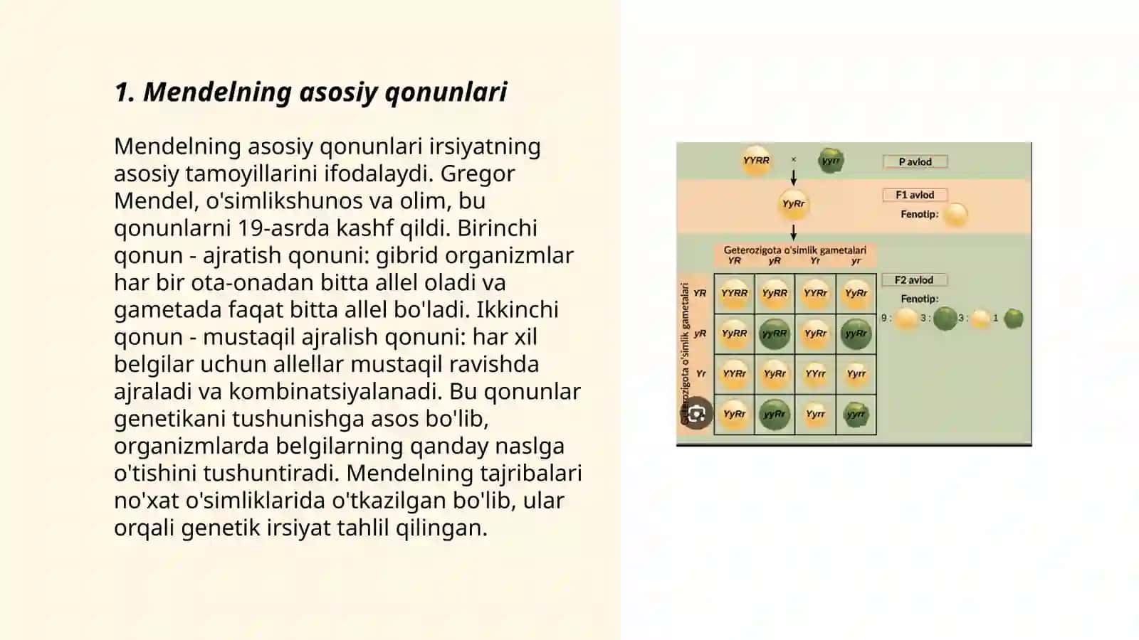 Mendelning 3 qonunlari Allelmas genlarning òzora tasiri 3