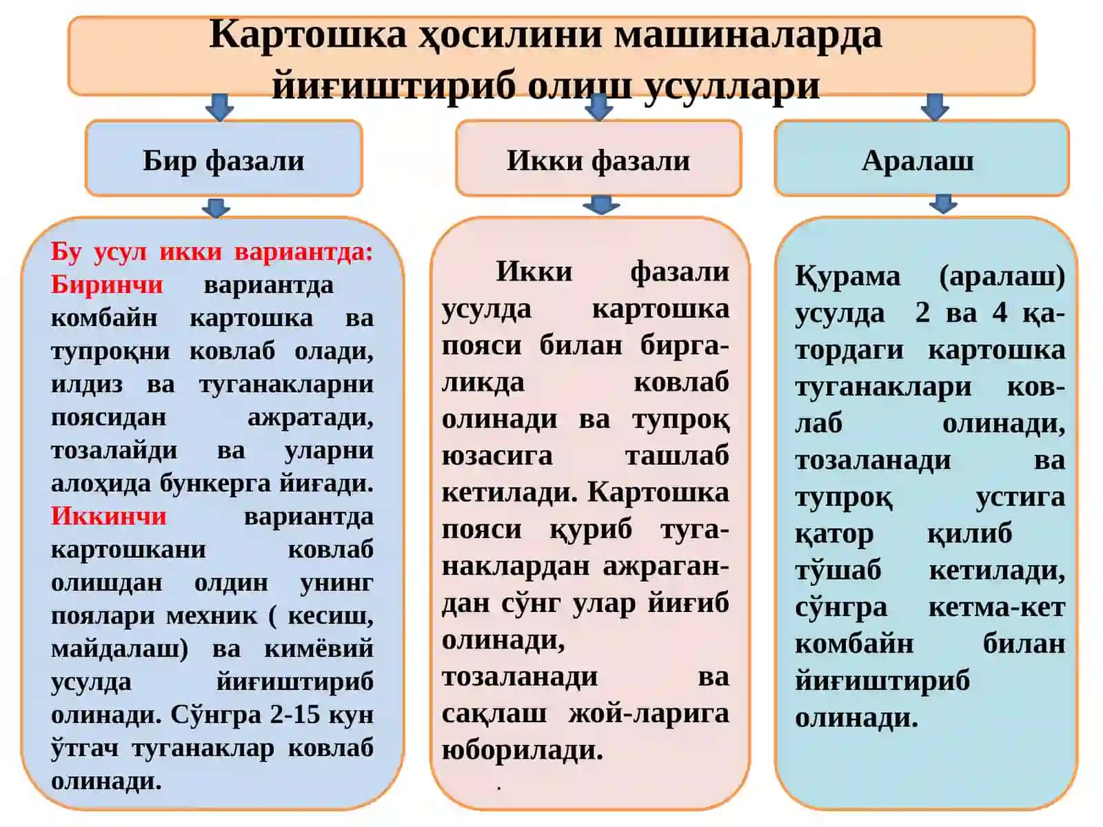 Картошка ва мева-сабзавот йиғиш машиналари 3