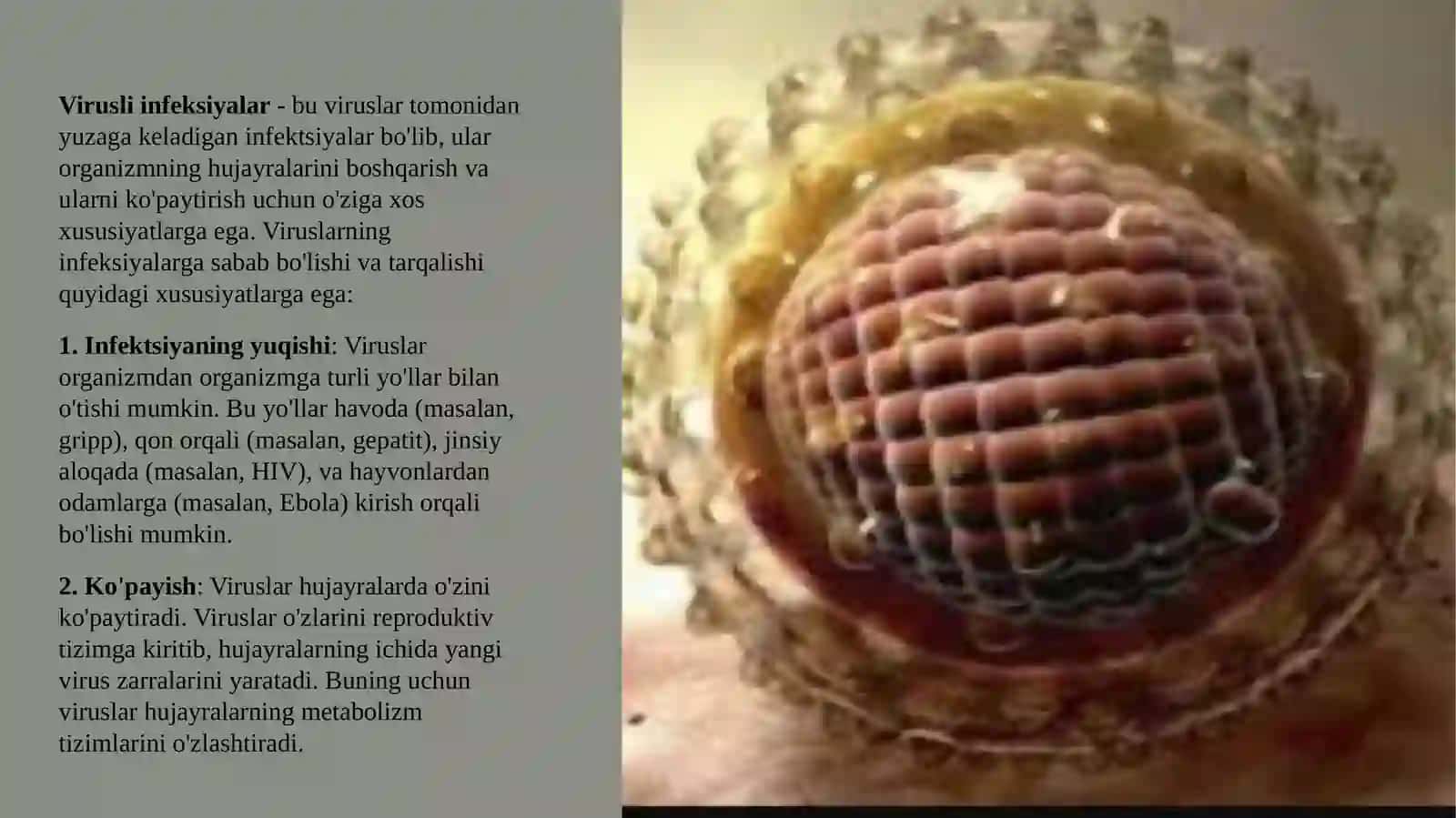 Virusli infeksiyalar umumiy xarakteristikasi va tasnifi 3