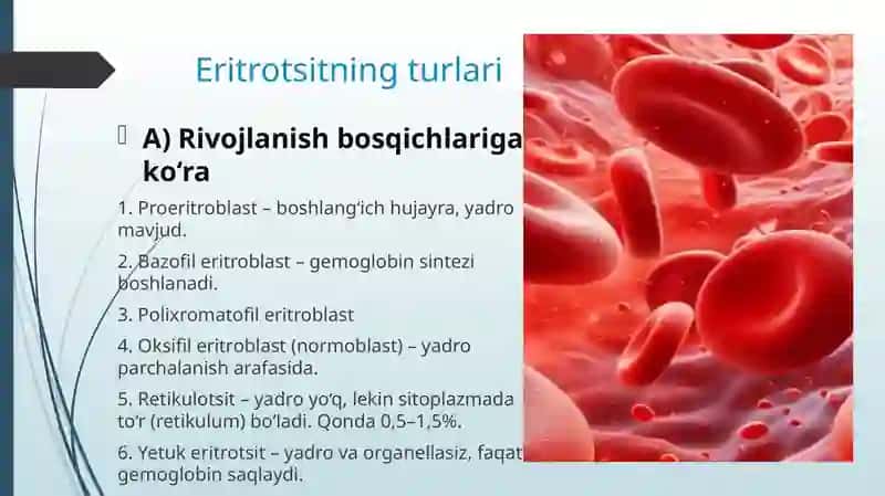 Eritrotsitlar, turlari funksiyalari. Gemoglobin va uning turlari. Leykotsitlar, tibbiyotdagi ahamiyati. Kamqonlik. Gemostaz. Qon guruhlari. Rezus faktorlar. Qon quyish asoslari 3