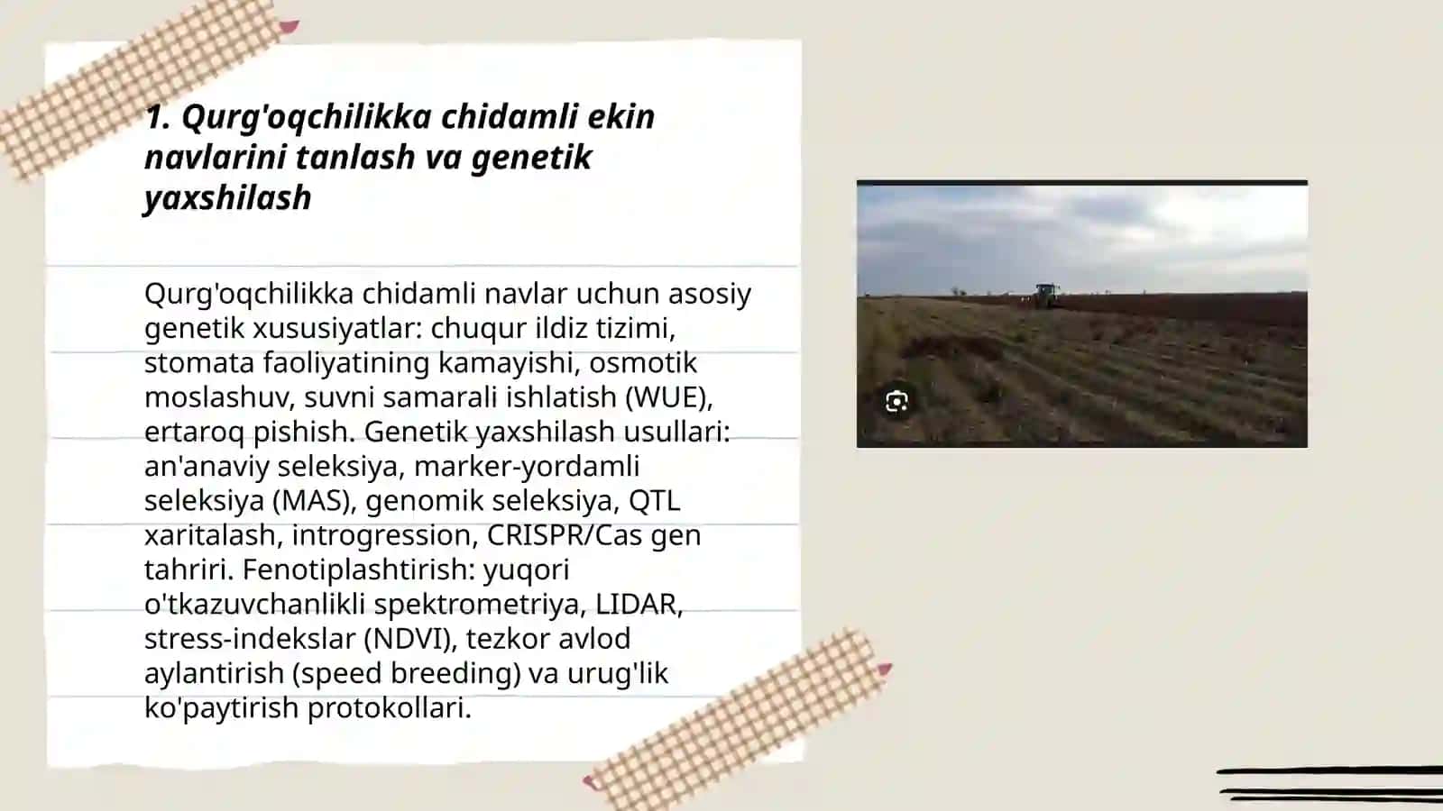 Sug'orilmaydigan yerlarda dala ekinlarni yetishtirishning innovatsion usullari 3