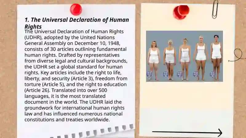 Human rights 3
