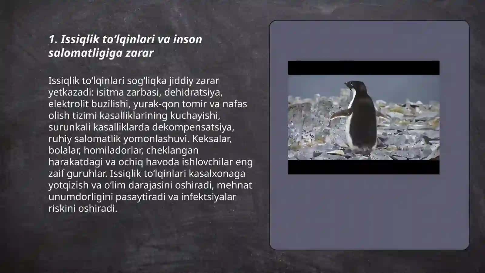 Iqlim oʻzgarishining insonlar, davlatlar, tabiat va boshqalarga salbiy taʼsirlari 3