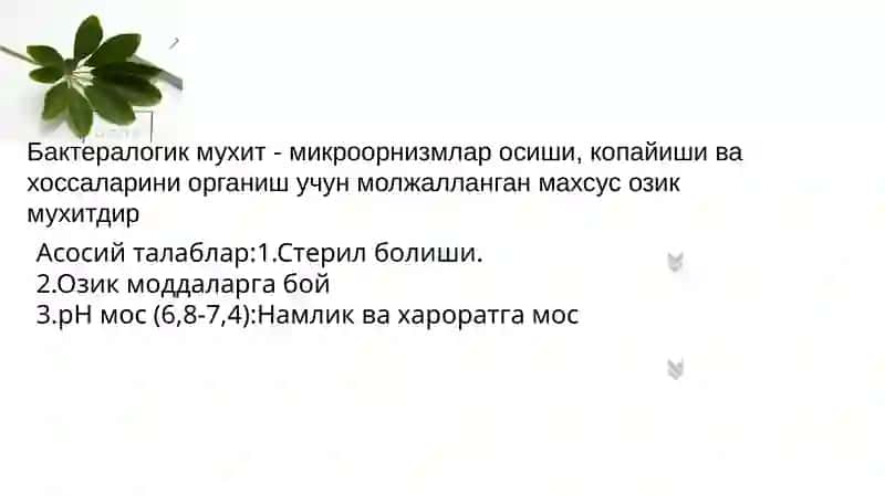 Бактералогик муҳит таёрлаш 3