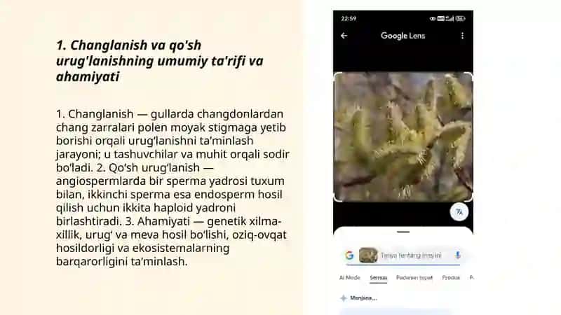 Changlanish biologiyasi va qo'sh uruglanish jarayoni sxema bosqichma bosqich izohli taqdimot 3