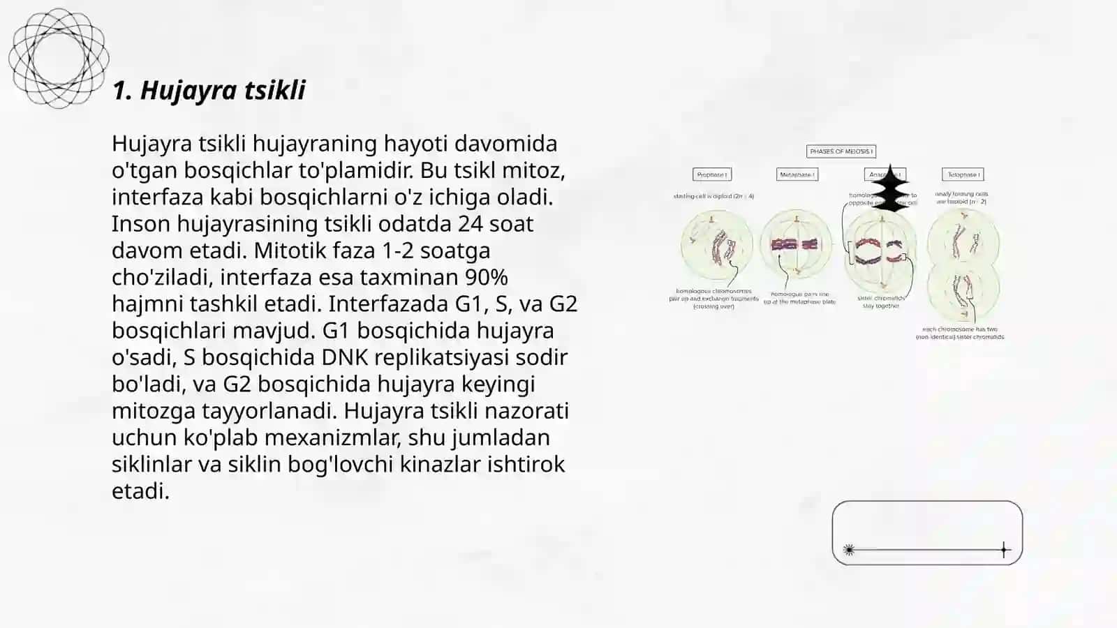 Hujayra poliferatsiyasi: Mitoz va Meyoz 3