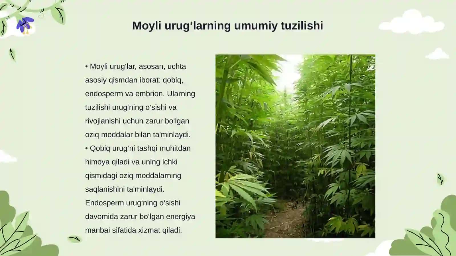 Moyli uruglar postloglarining xossalari va uruglarni pachoqlash yanchish usullarini tanlash 3