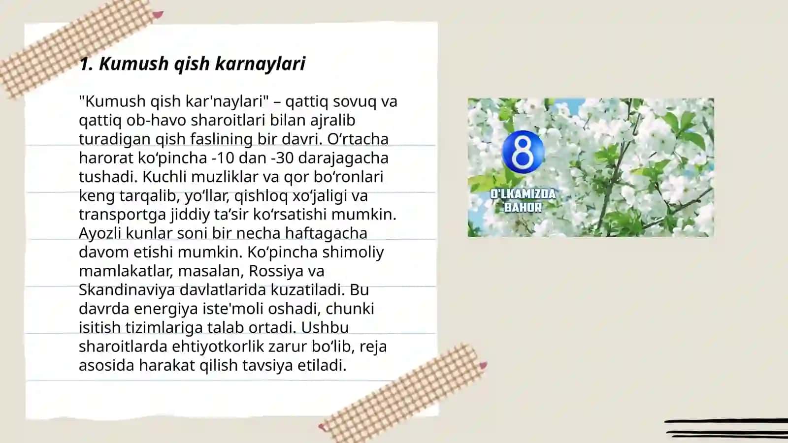 Kumush qish karnaylari 3