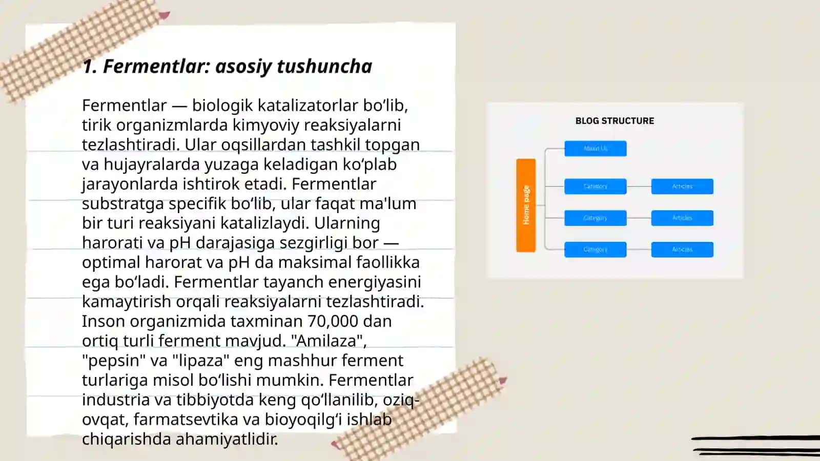 Fermentlar haqida umumiy tushuncha 3