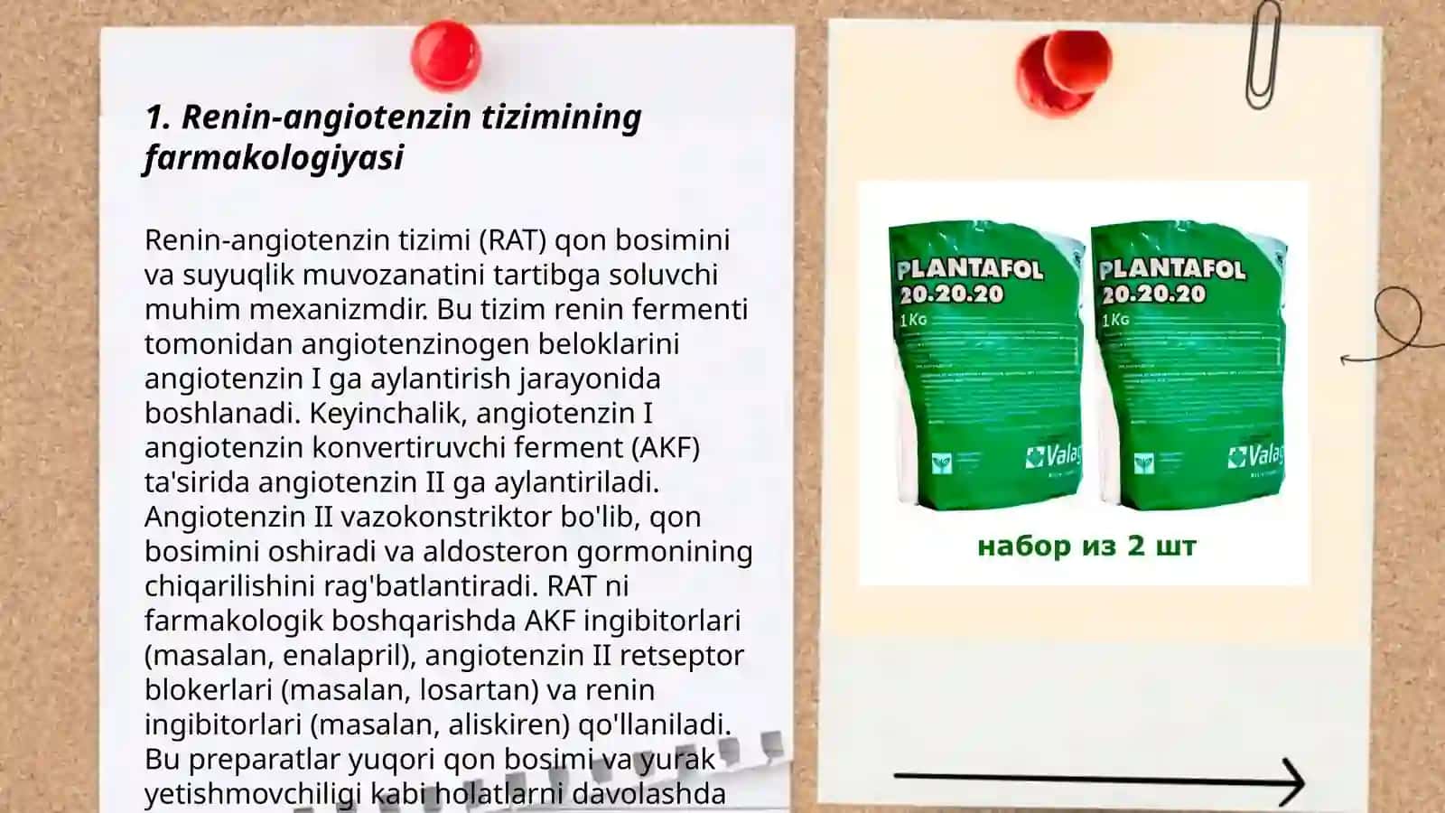 Renin-angiotenzin tizimining farmakologiyasi 3