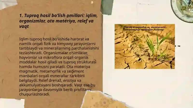Tuproqning genezisi. Klassifikatsiyasi va geografiyasi 3