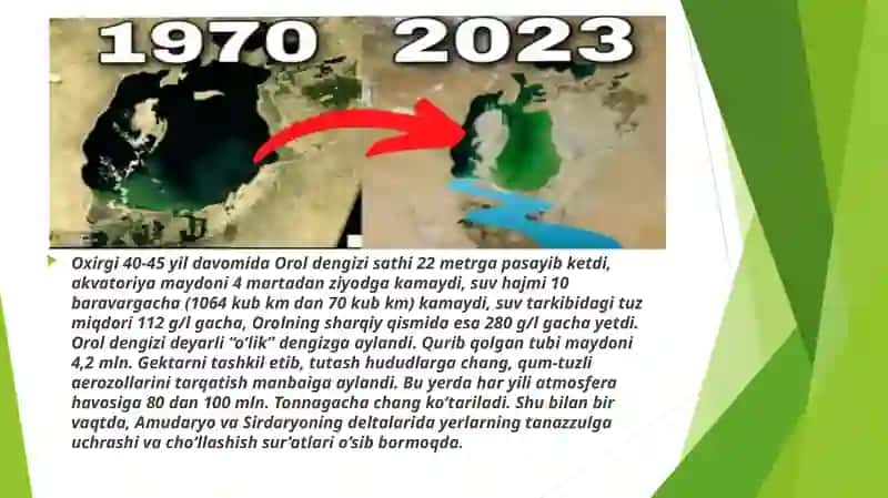 Ekalogik fojiya va orol dengizi fojiyasi 3