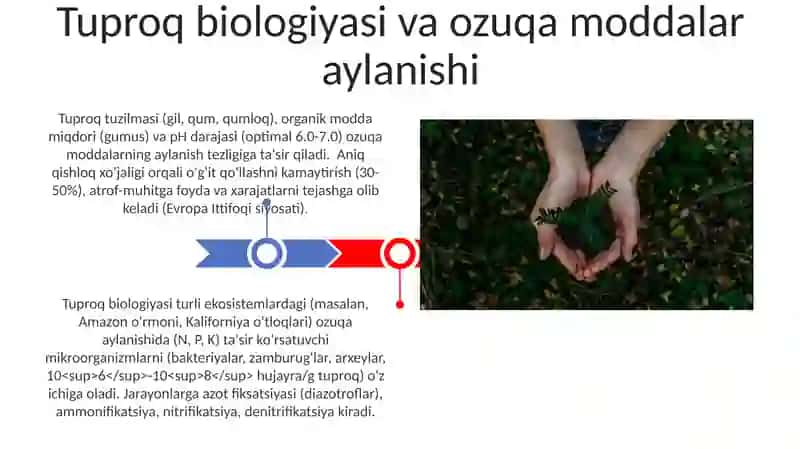 Sug'oriladigan dehqonchilikning fiziologik asoslari 3