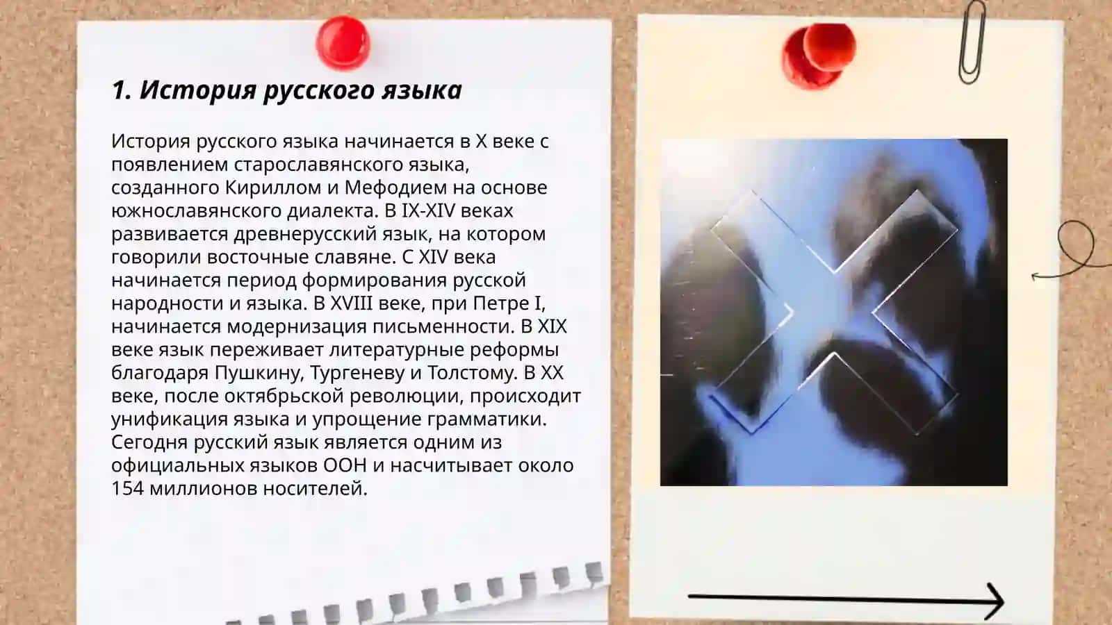 Русский язык в мире 3