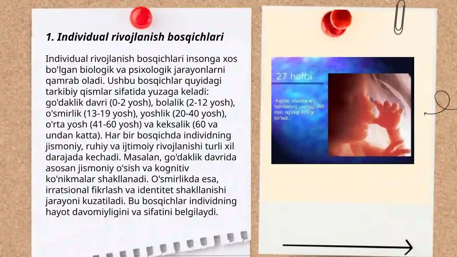 Individual rivojlanishni umumiy qonuniyatlari 3