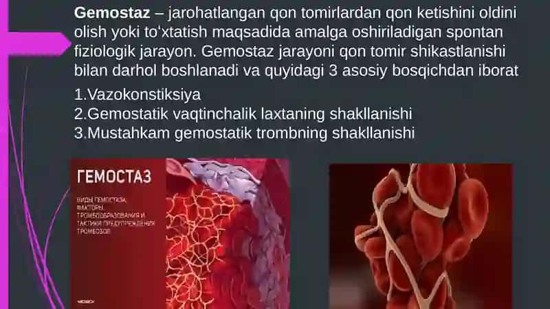 Gemostaz 3