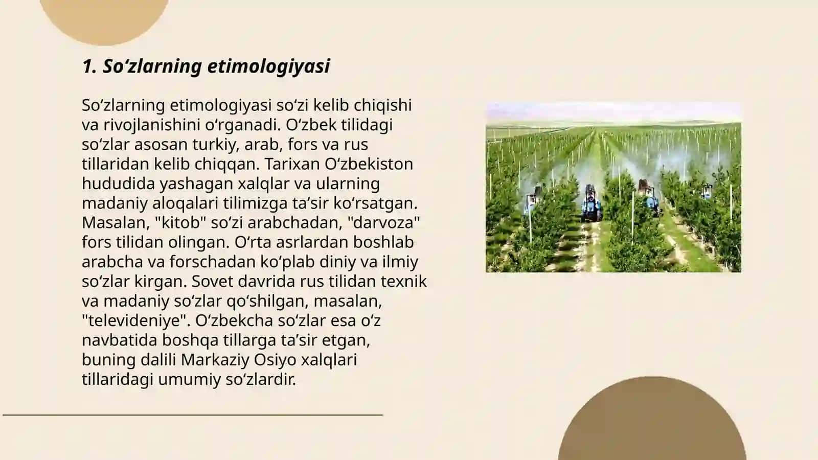 Lugʻat tarkibidagi soʻzlarning kelib chiqishi,ijtimoiy guruhlar tomonidan qo'llanilishi jihatidan tavsiflanishi 3