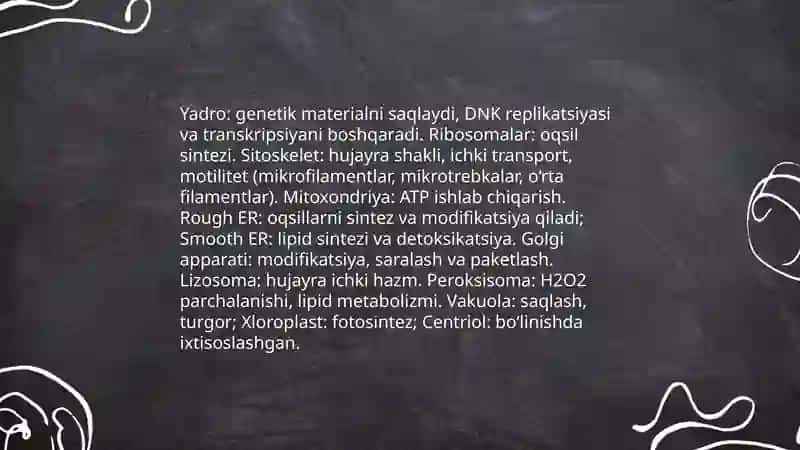 Hujayra organoidlari.Ribosoma, sitoskalet, yadro 3