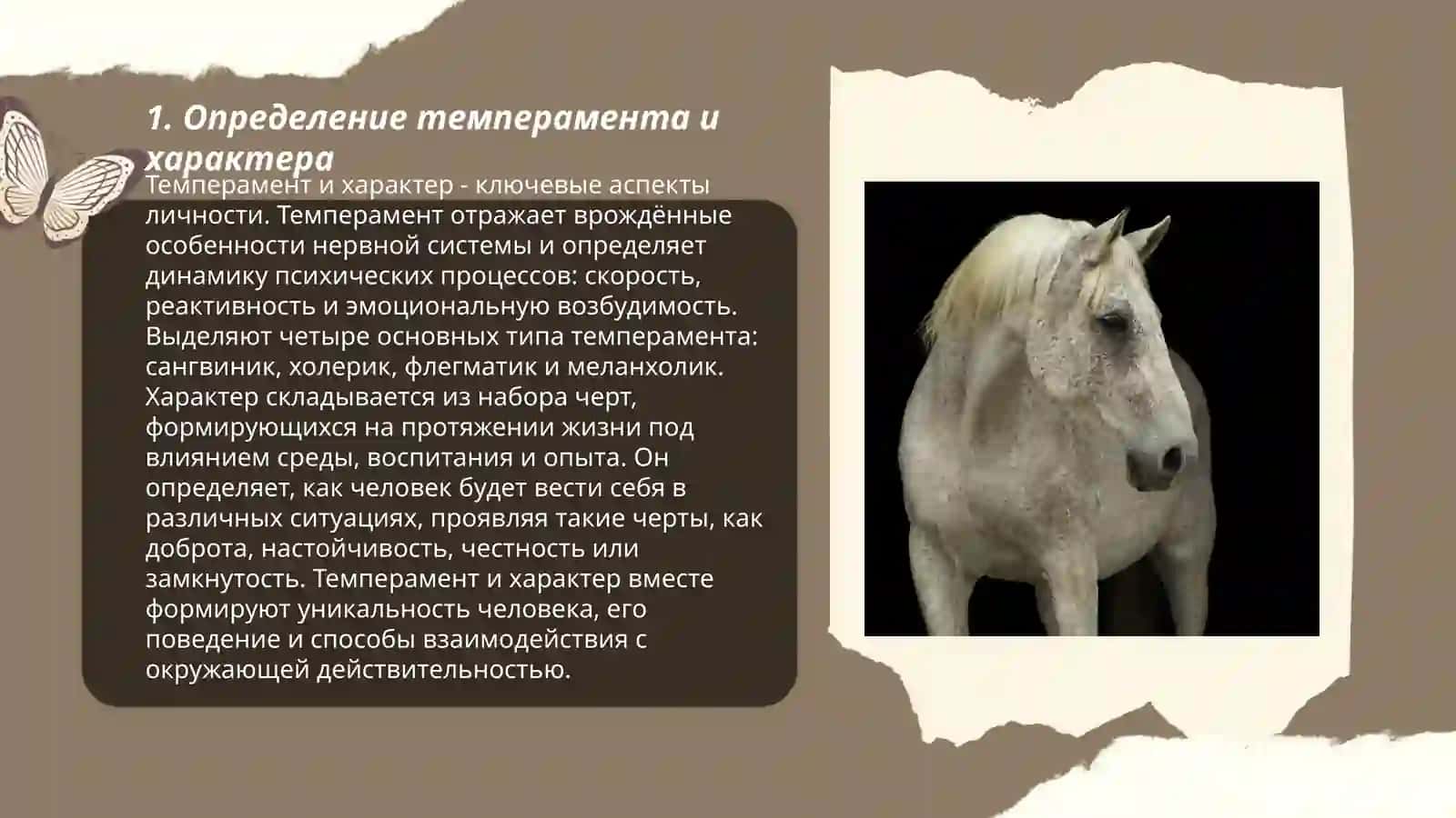 отличие теиперамента от характера 3