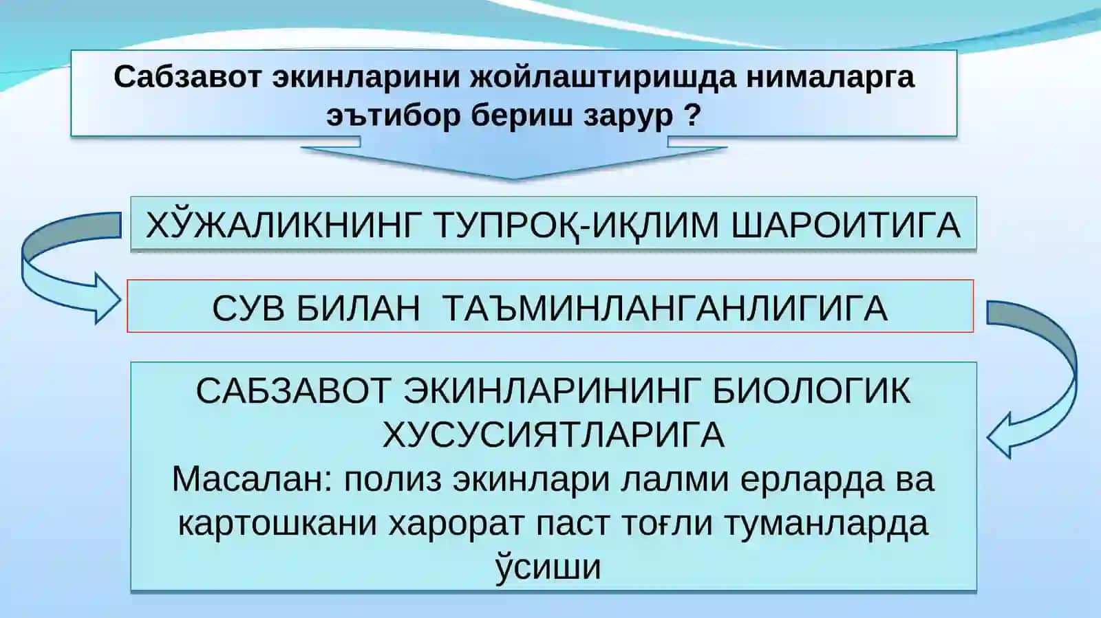 Сабзавот ва полиз экинларини экиш 3