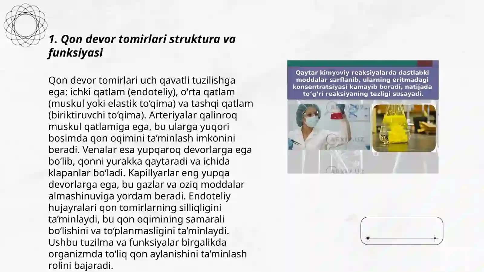 Qon devor tomirlari orqali moddalar almashinishining biofizikaviy mexanizmlari 3