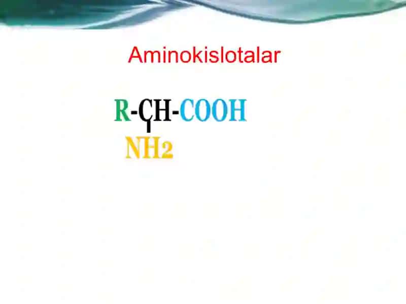 Oqsillar(тузилиши ва биологик хоссалари) 3