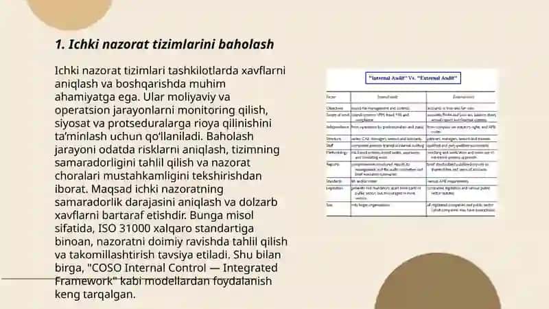 Tashqi audit 3