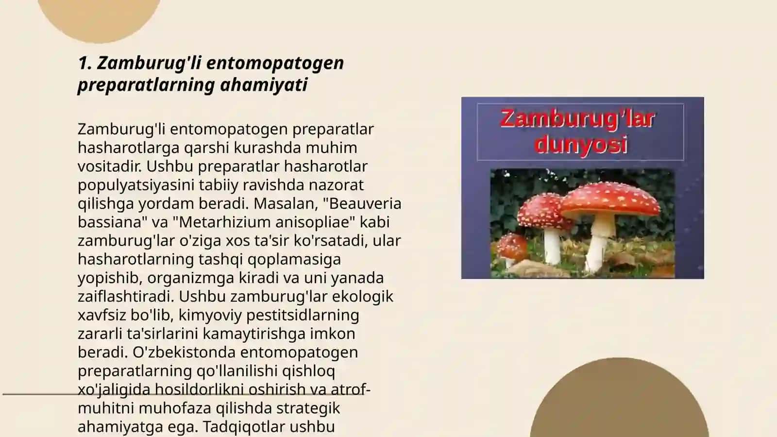 Zamburug'li entomopatogen preparatlar olish texnologiyasi 3