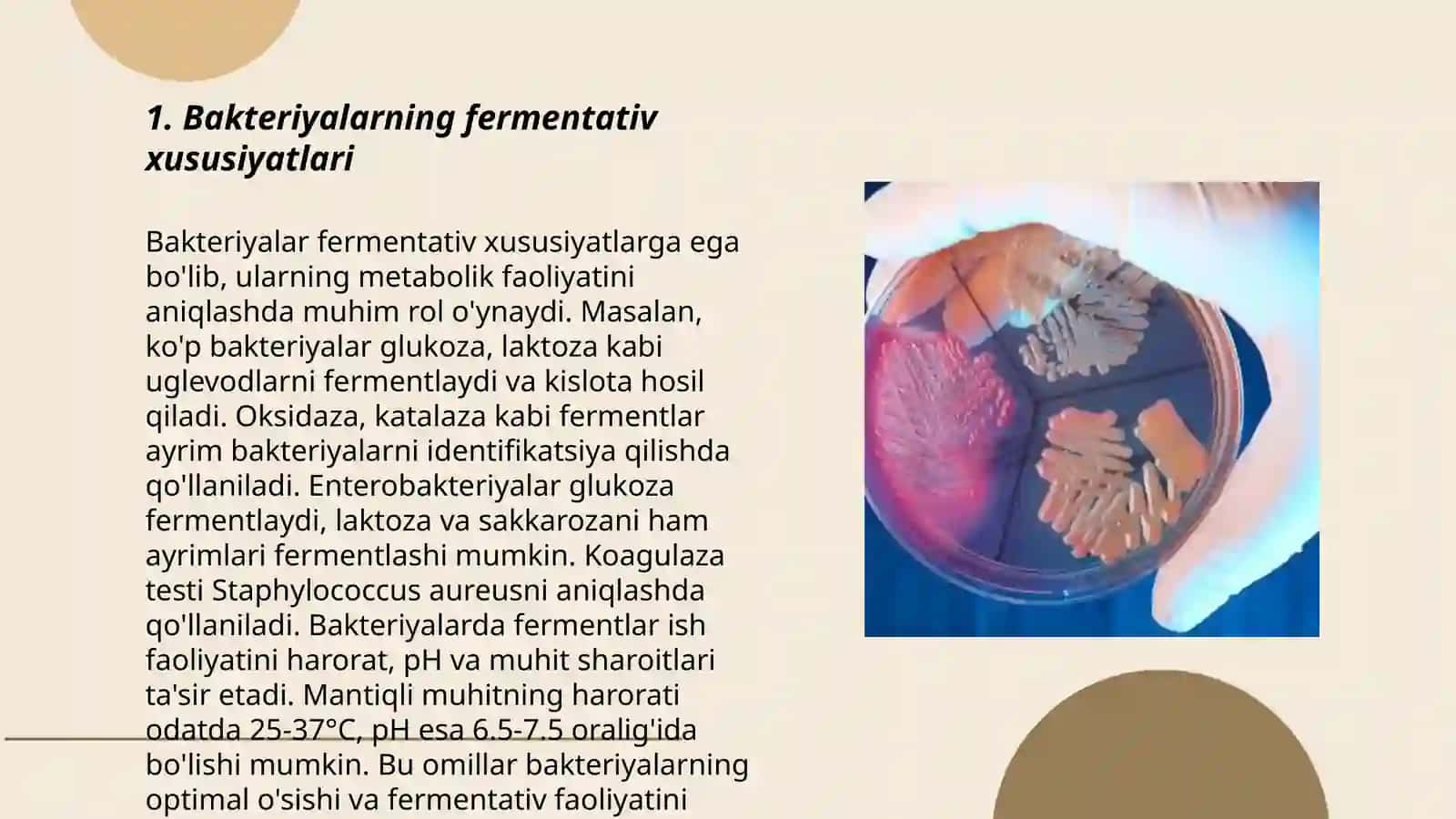 Bakteriyalarni fermentativ, biokimyoviy, serologik xususiyatlarini oʻrganish, oziq muhitlari - Tolibov Diyorbek 3