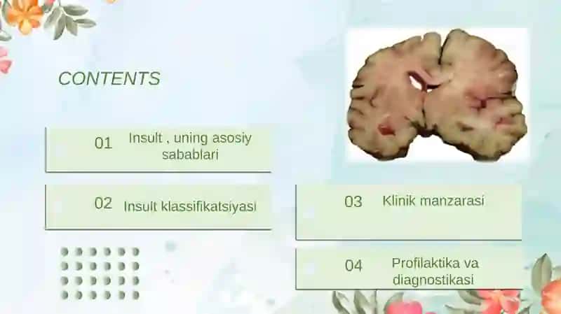 Insult,uningasosiysabablari 3