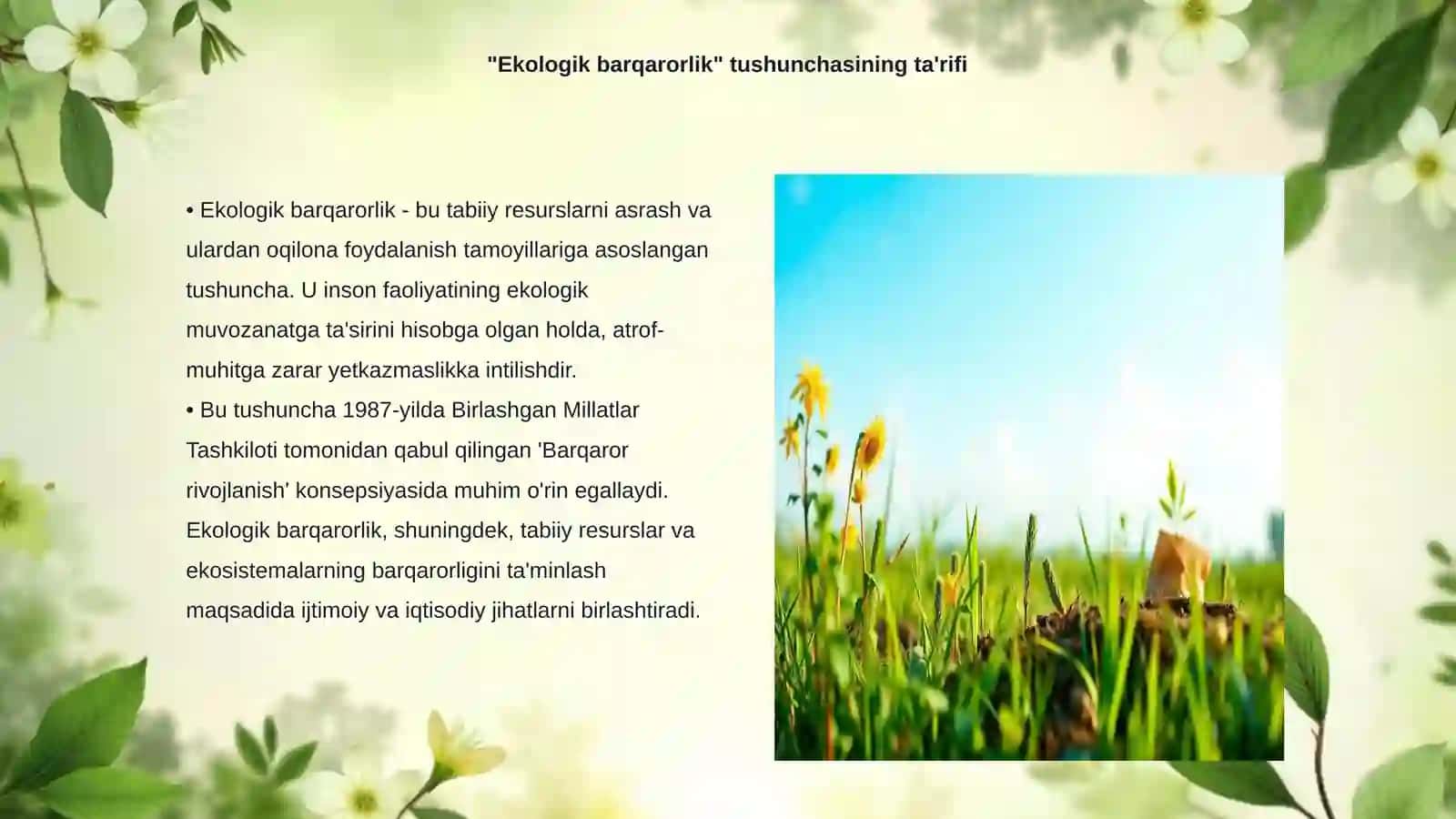 Ekologik barqarorlik tushunchasi va uning mazmun mohiyati 3