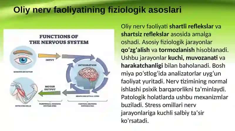 Oliy nerv faoliyati buzilishi. Nevrozlar 3