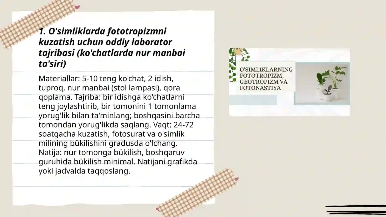 Fototropizm, Fotonastiya, Geotropizm 3