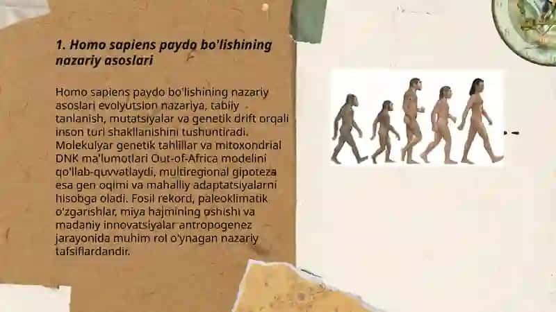 Homo sapiensning paydo boʻlishi va antropogenez jarayonining tugallanishi 3
