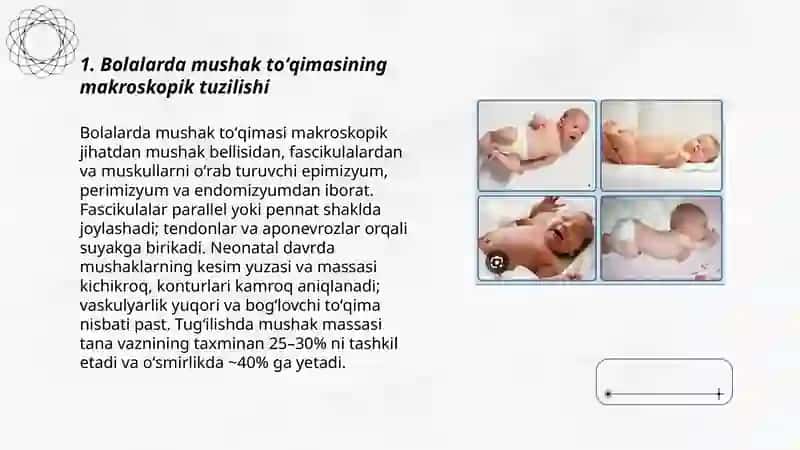 Bolalarda mushak tizimini anatomo-fiziologik hususiyatlari 3