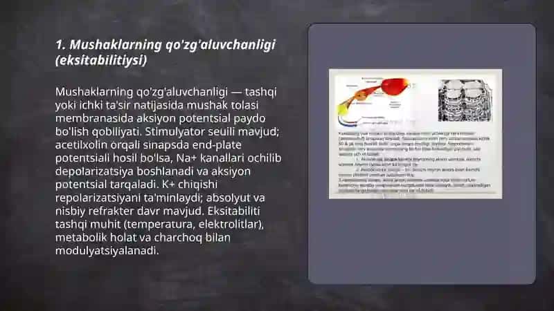 Muskul xossalarini fiziologiyasi 3
