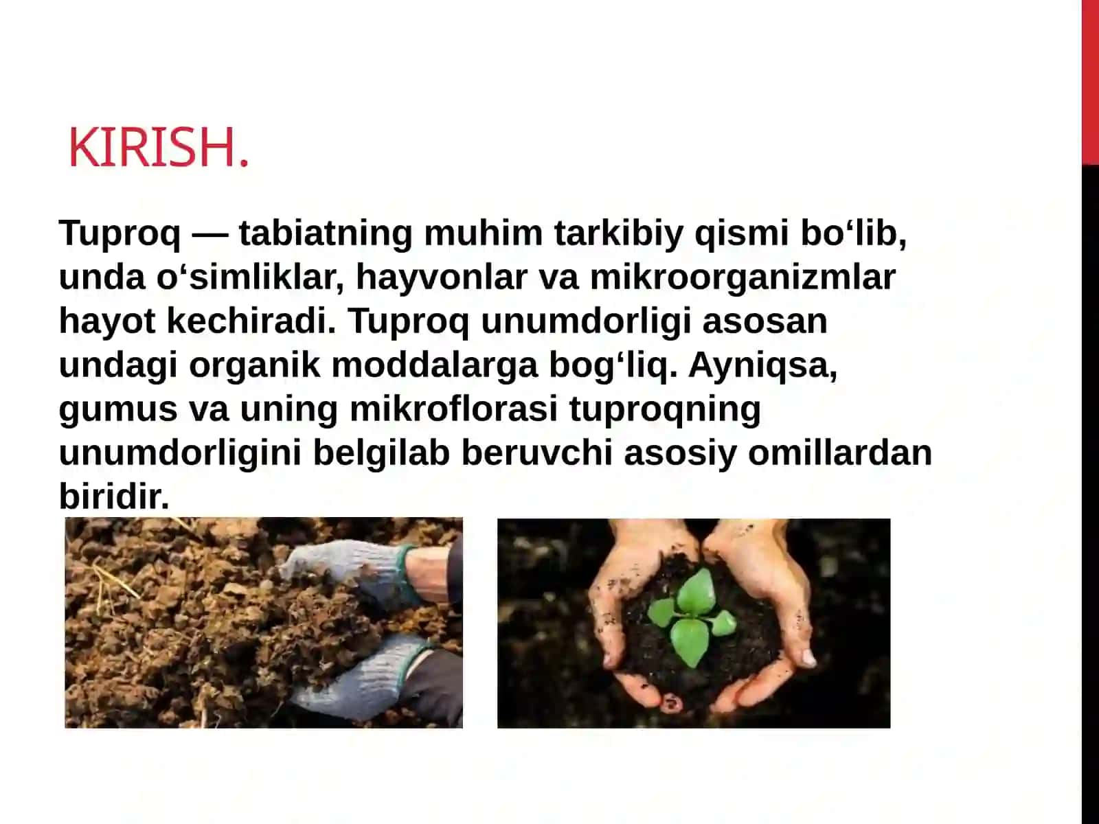 Gumus mikroflorasi va gumus 3