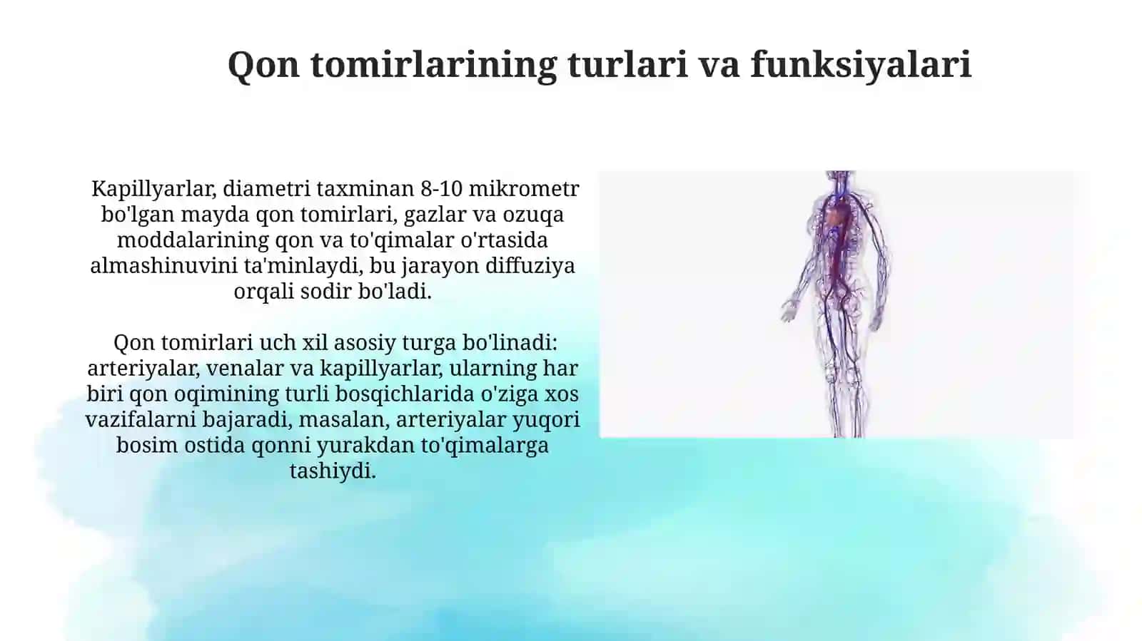 Qon aylanish sistemasining fiziologiyasi 3