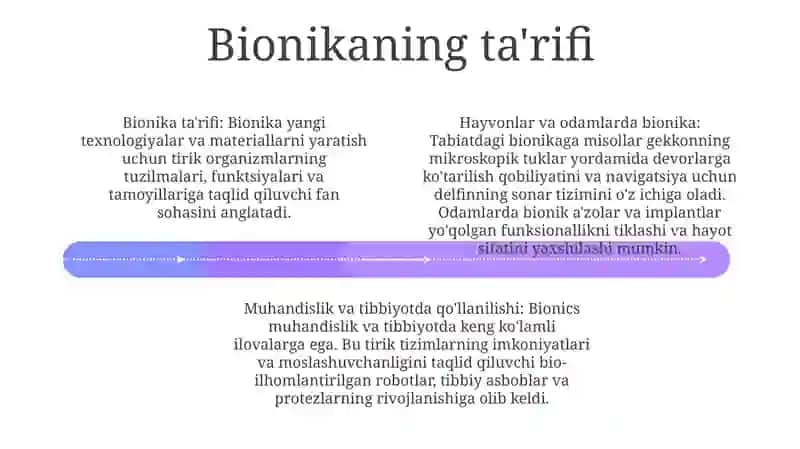 Bionika Asoslari Va Uni Inson Xayotidagi O'Rni 3