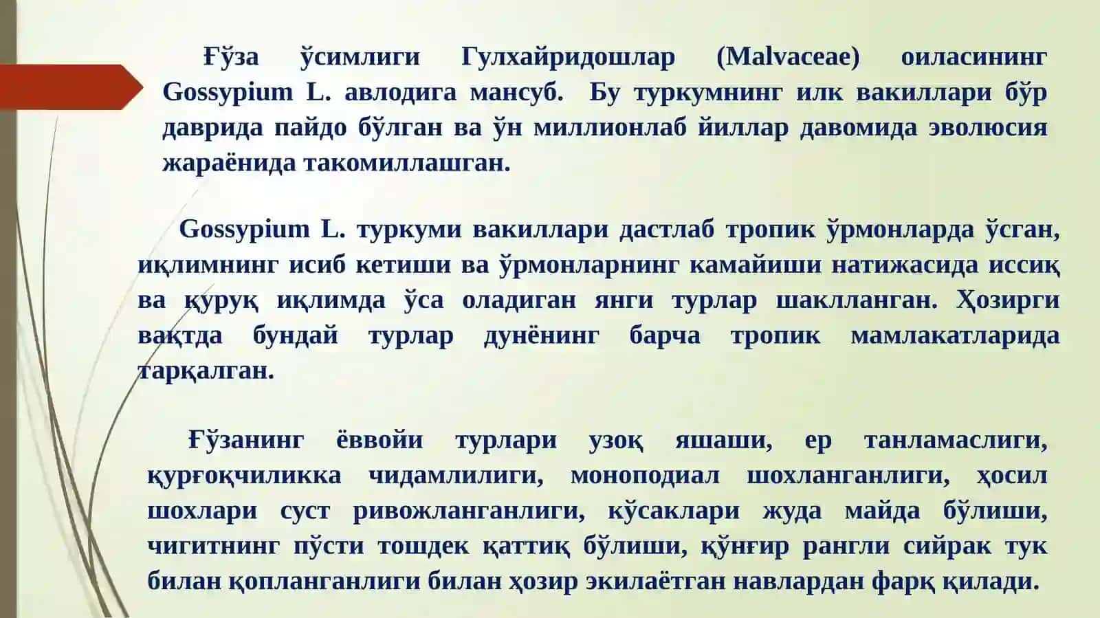 Ғўзанинг келиб чиқиши, тарқалиши ва систематикаси 3