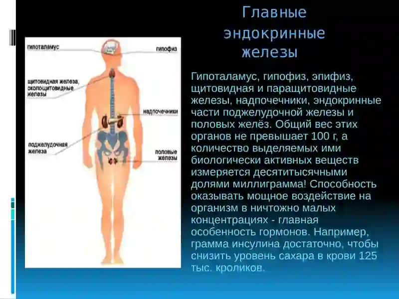 ГИПОФИЗАР ПАКАНАЛИК 3