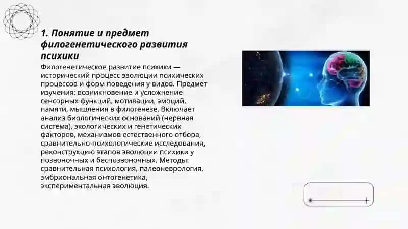 Филогенетическое развитие психики 3