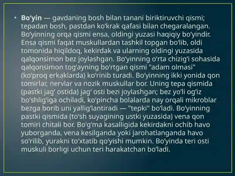 Bo’yin muskul va fassiyalarining tuzilishi 3