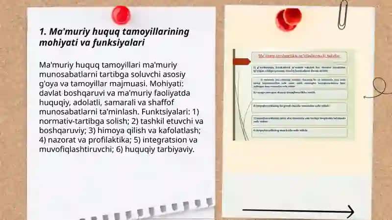 Ma'muriy huquq tamoyillari 3