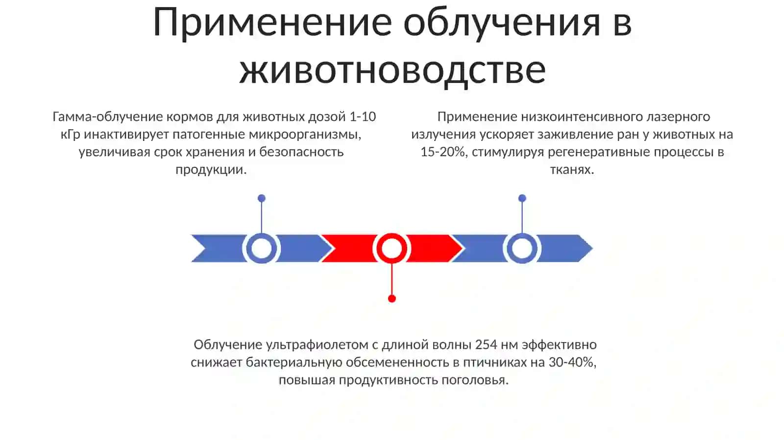 Выбор животных и источников света, принципы облучения и технологии облучения 3