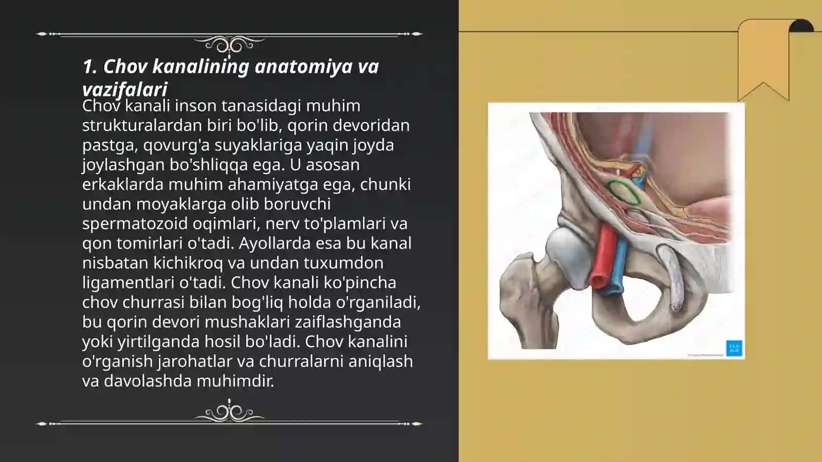 Chov kanalining yosh va jinsga nisbatan xususiyatlari 3