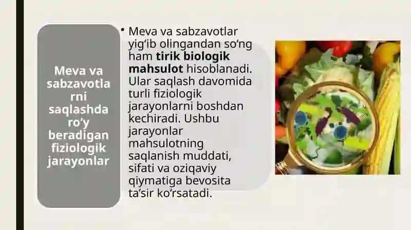 Mevavasabzavotlarnisaqlashdaro’yberadiganfiziologikvamikrobiologikjarayonlar 3
