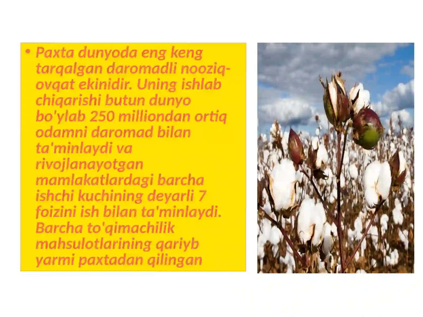 Industrial iqtisodiyot paxta yetishtirish samarali yo‘llari 3