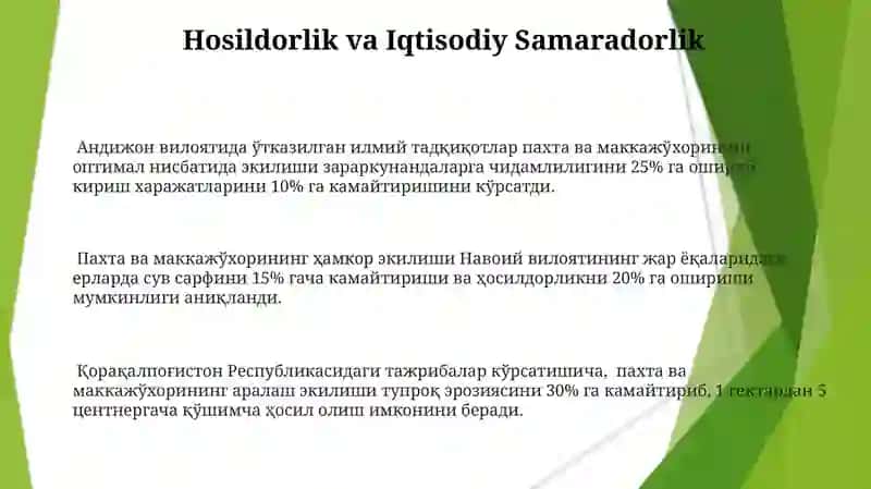 Paxta va Makkajoʻxori Birgalikda Ekish 3
