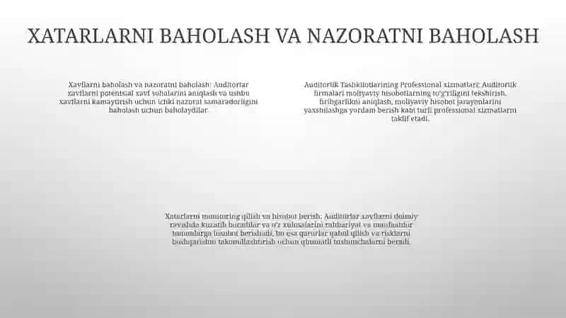 Auditorlik Tashkilotlarining Proffesional Xizmatlari 3